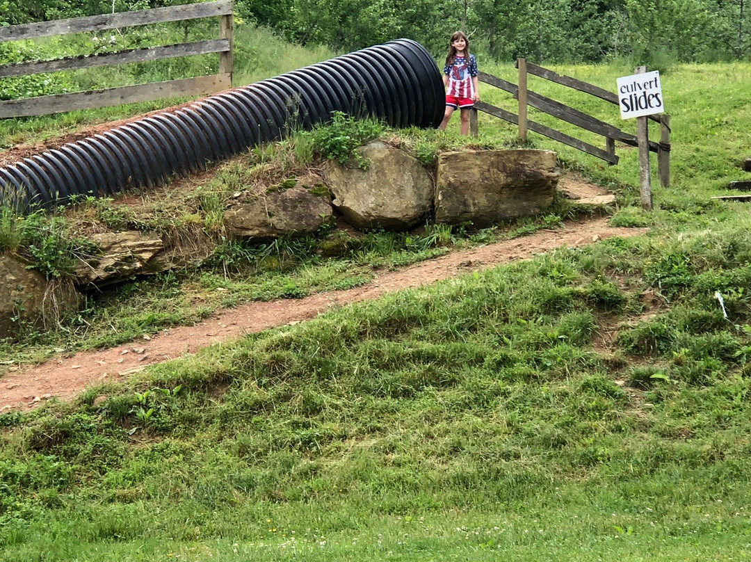 Hickory Nut Gap Farm景点图片