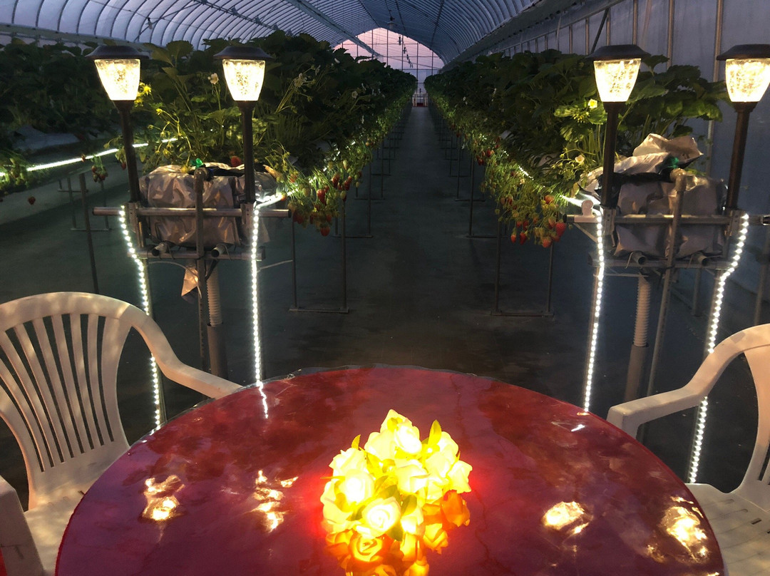 Takano Strawberry Farm-龙王町必去景点