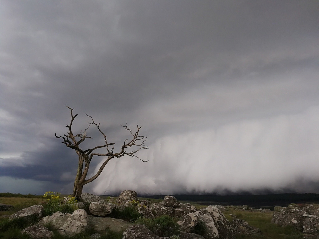 Kaapsche Hoop Gastehuis主图