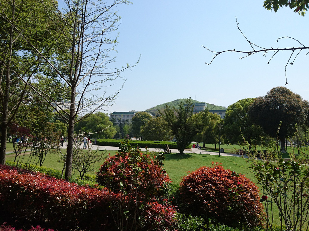 珞珈山-武汉市必去景点