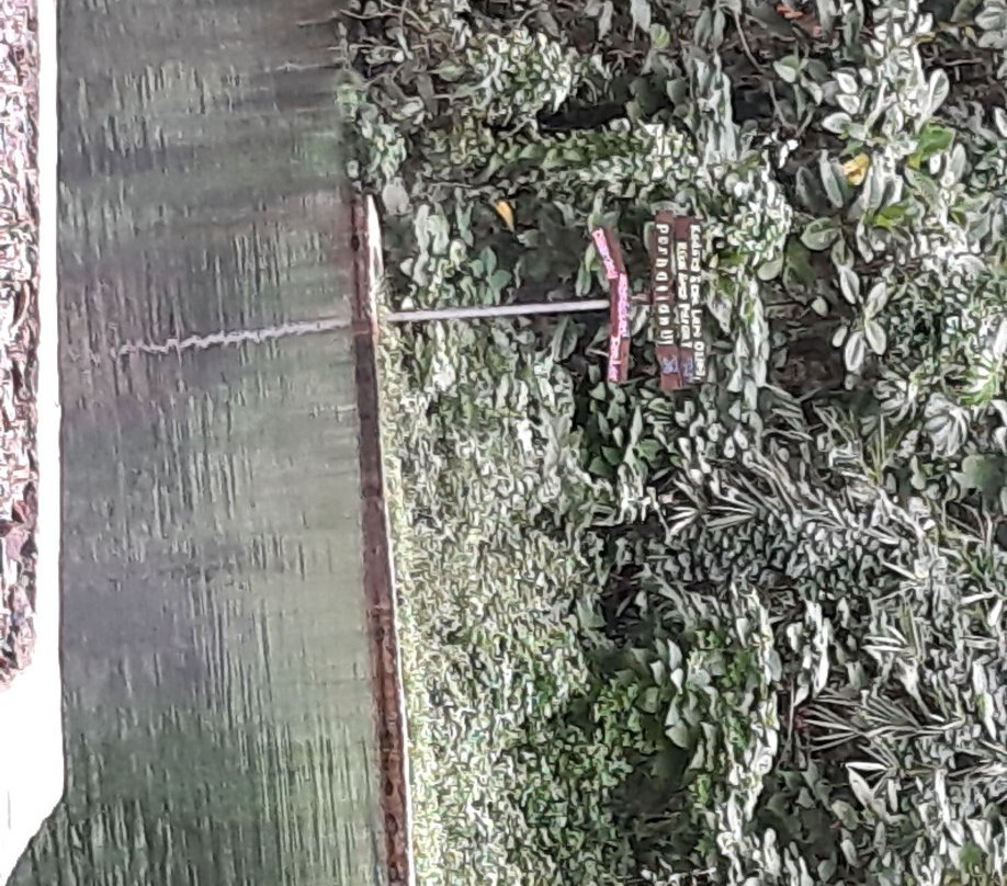 Banyu Alam Resort主图