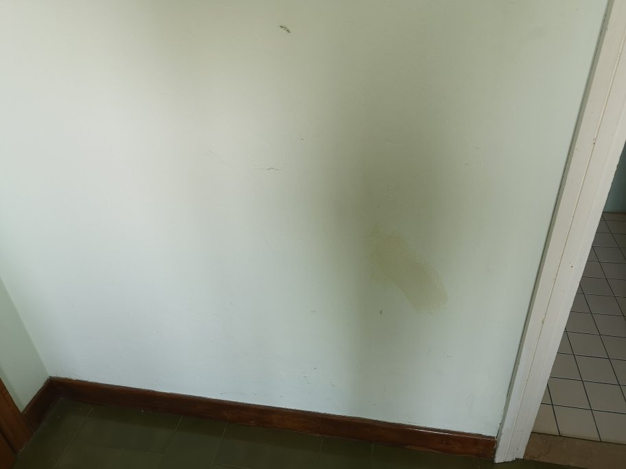 Alba Hotel主图