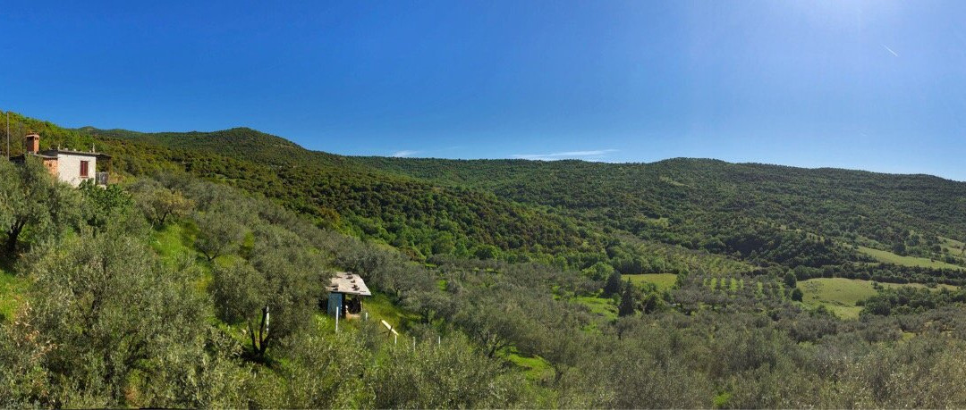 Guesthouse Arsenis主图