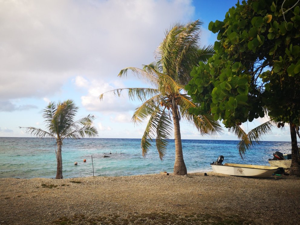 Chez Henriette-泳池