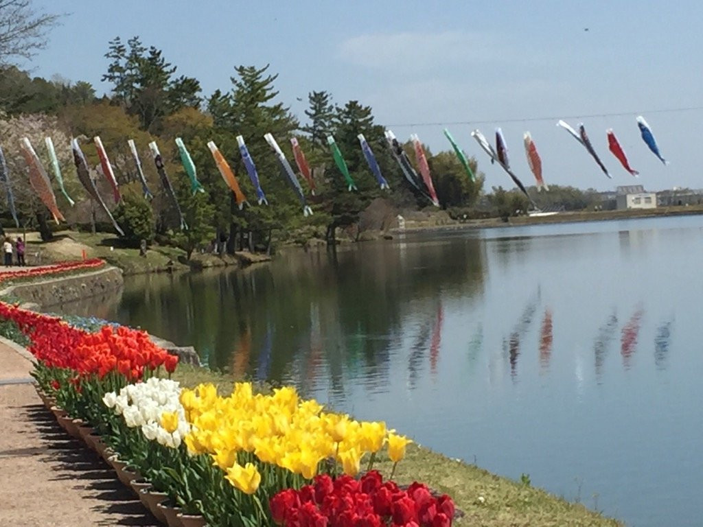 Hyogo Prefectural Flower Center-加西市必去景点