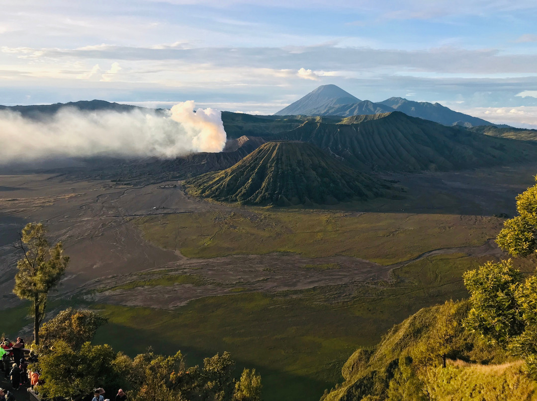 Bromo Authentic Tours景点图片
