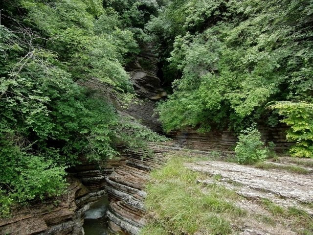 Forre del Torrente Ardo-贝卢诺必去景点
