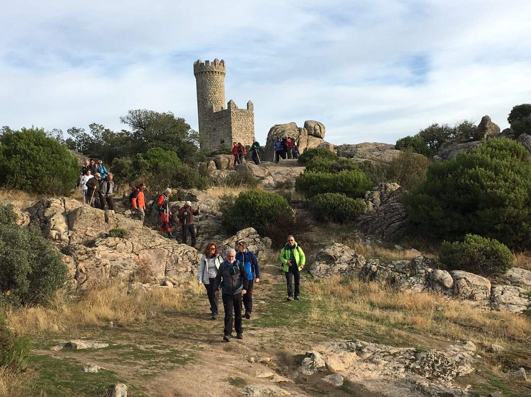 Torre de los Lodones-托雷洛多内斯必去景点