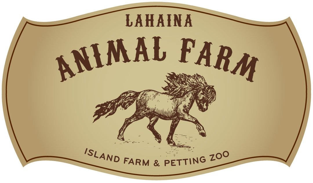 Lahaina Animal Farm景点图片