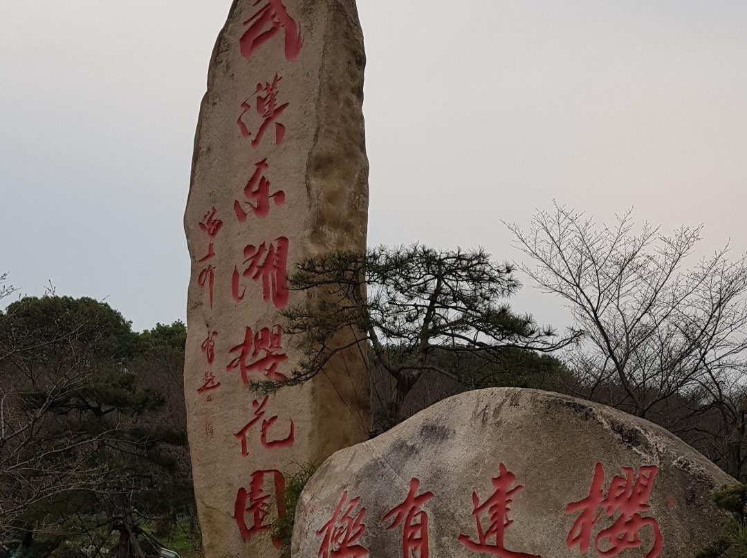 武汉东湖磨山樱园-武汉市必去景点