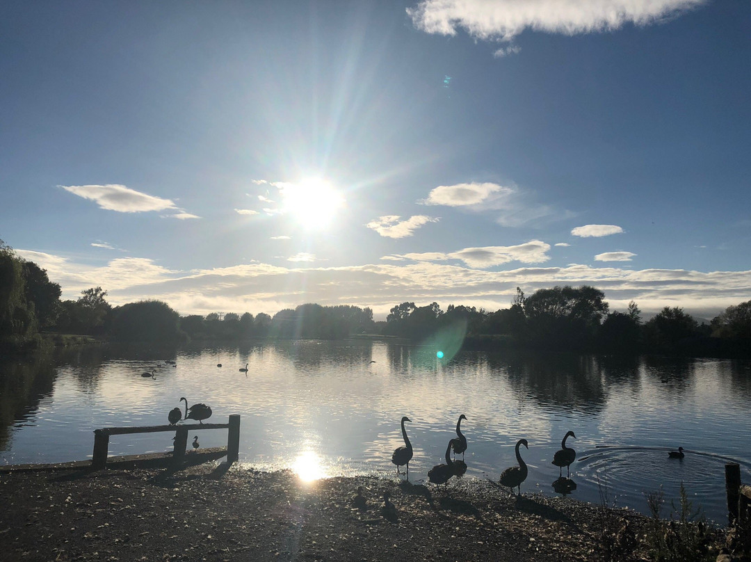 Henley Lake景点图片
