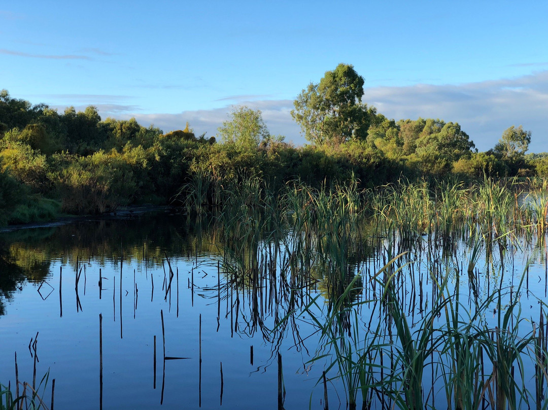 Bibra Lake Regional Playground景点图片