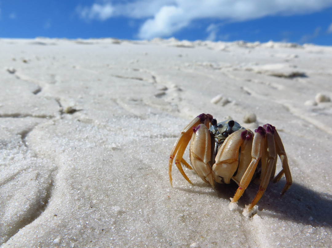 艾尔利滩-艾尔利滩必去景点