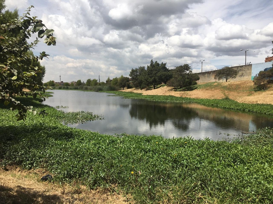 Humedal la Vaca-波哥大必去景点