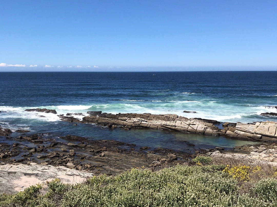 Sacremento Cannon-伊丽莎白港必去景点