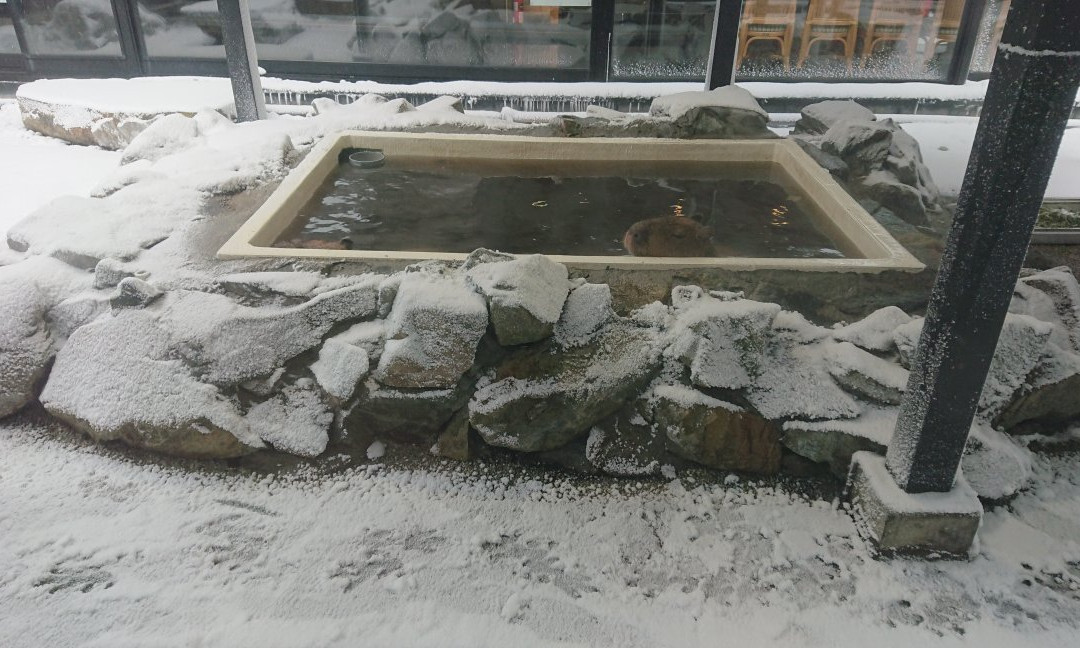 Banya no Yu-石狩市必去景点