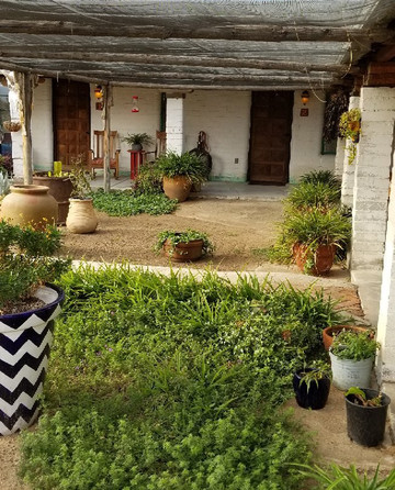 The Westward Motel主图