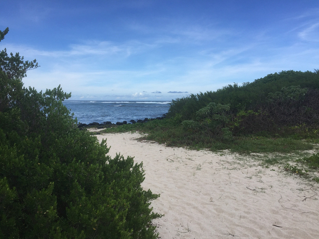 Palmar Beach景点图片