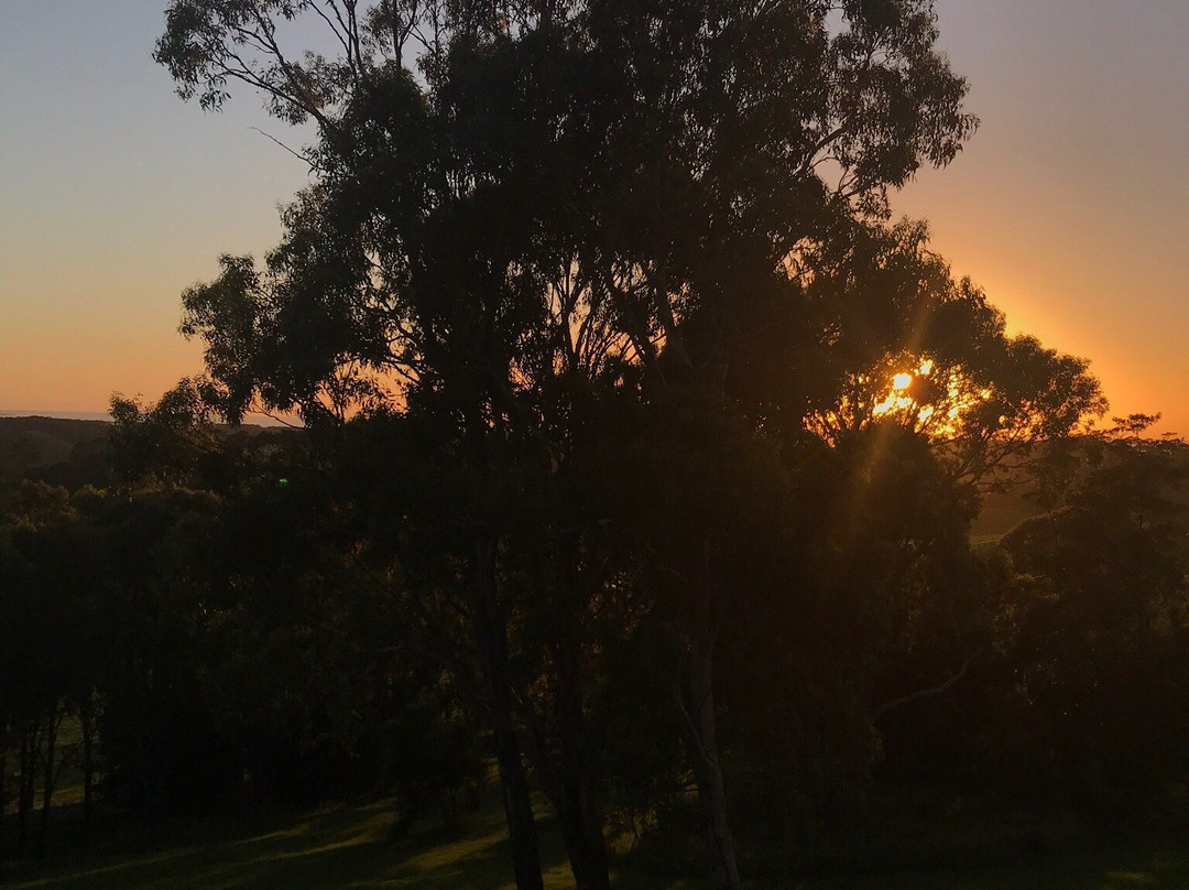 The Bryn at Tilba主图