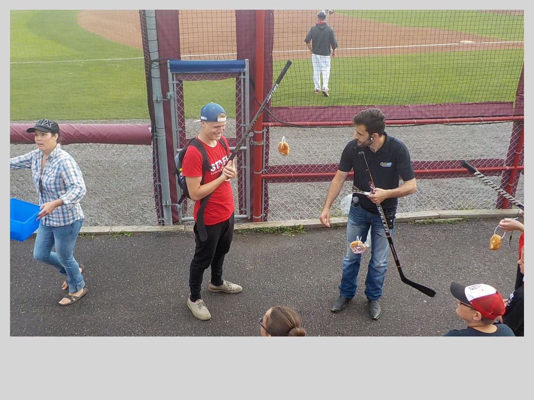 Port Arthur Stadium-桑德贝必去景点