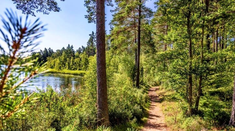 Illerns naturreservat