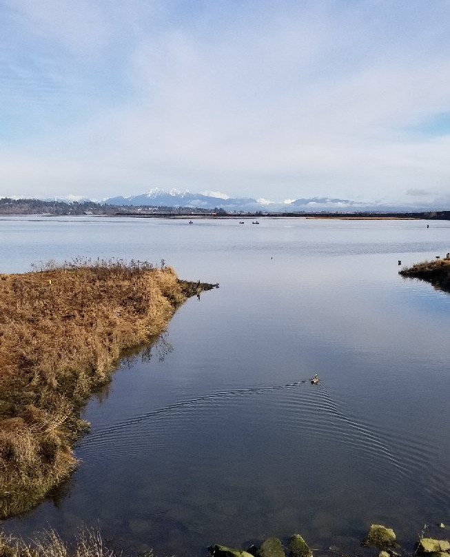 Blackie Spit Park景点图片