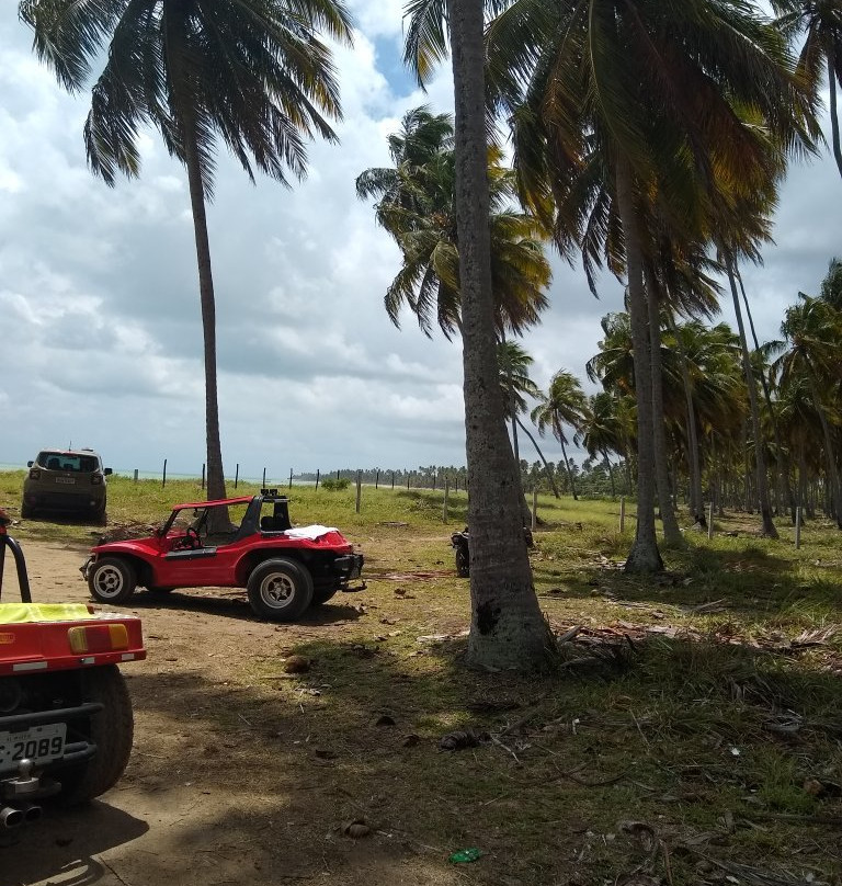 Maceio Beach-Sao Miguel do Gostoso必去景点