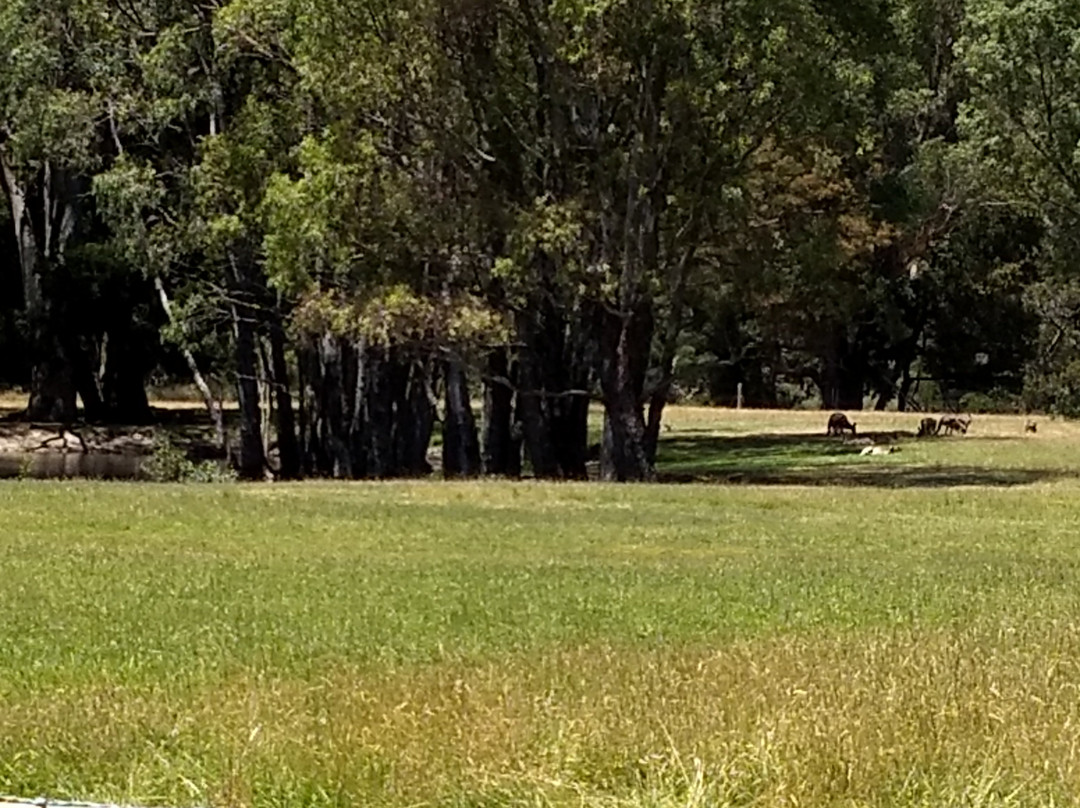 笑翠鸟汽车旅馆主图