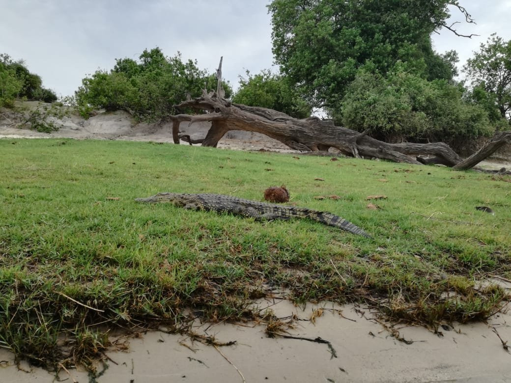 Okutembuka Safaris-温德和克必去景点