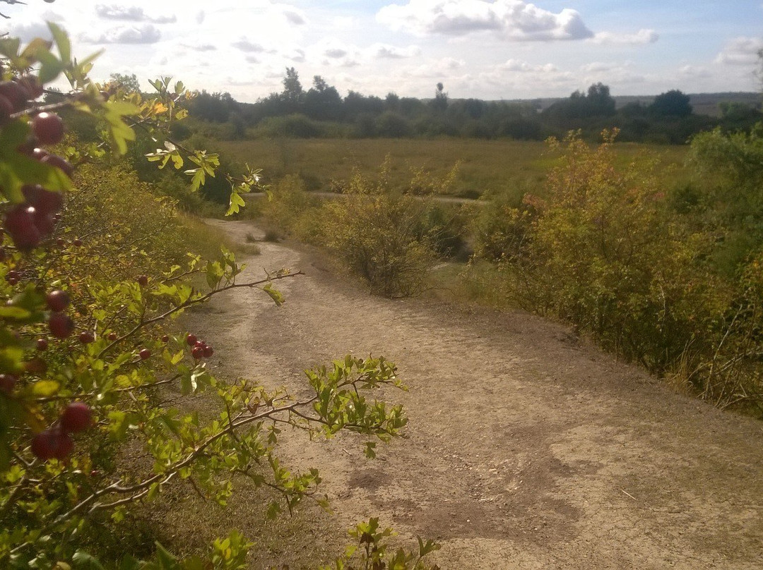 Fermyn Woods Country Park-Brigstock必去景点