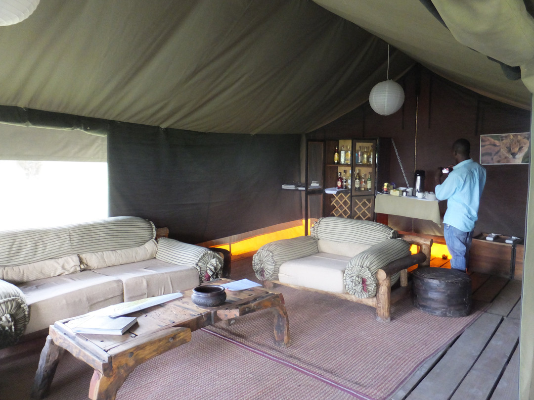 Ang'ata Migration - Ndutu Camp