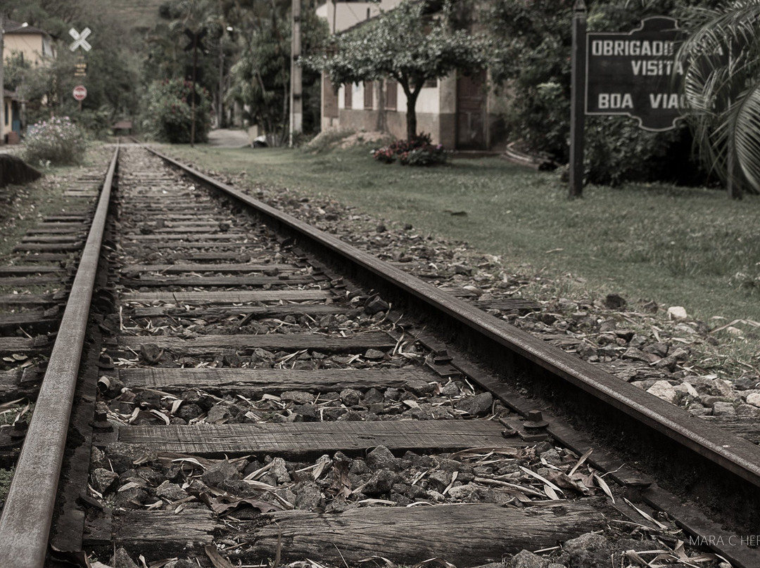Estacao de Trem Vale da Estacao景点图片