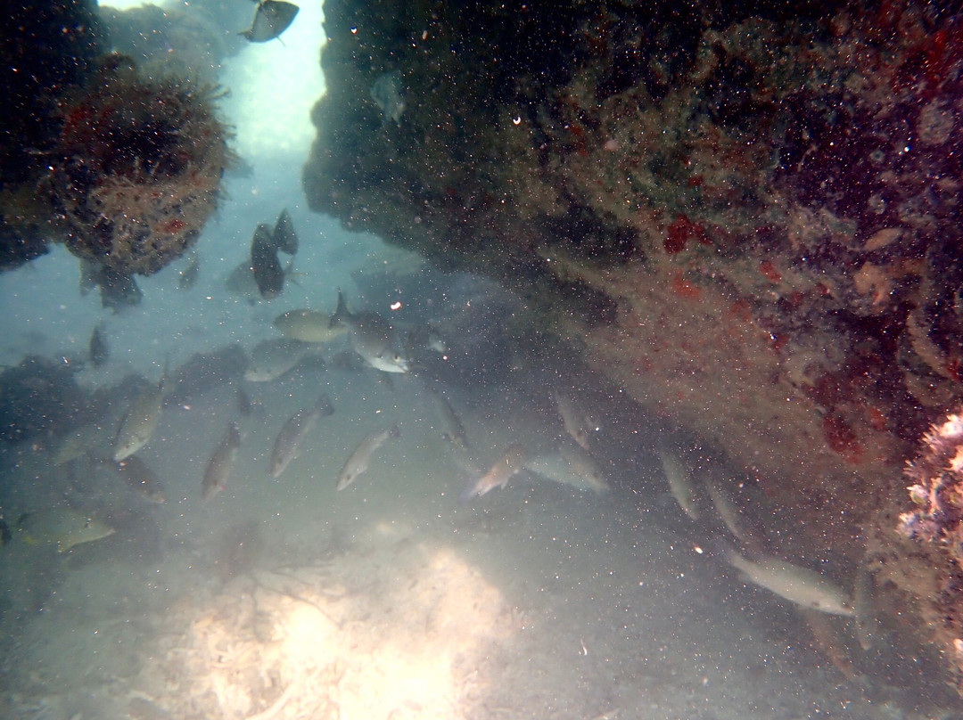 Garden Key-海龟国家公园必去景点