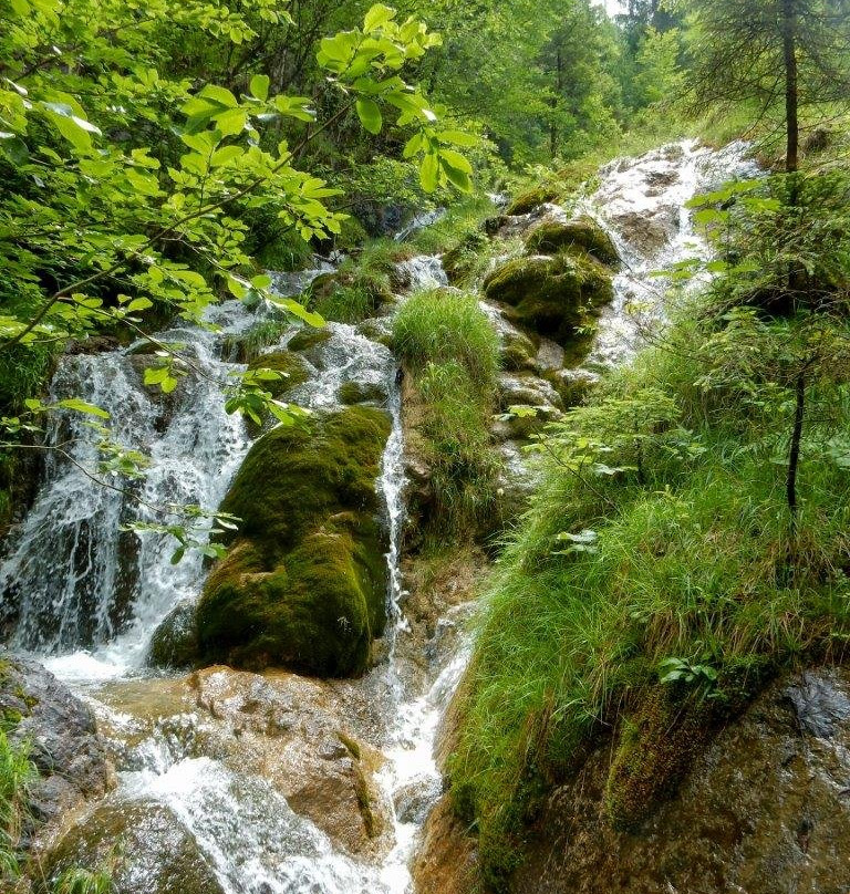 Wildbachtobel景点图片