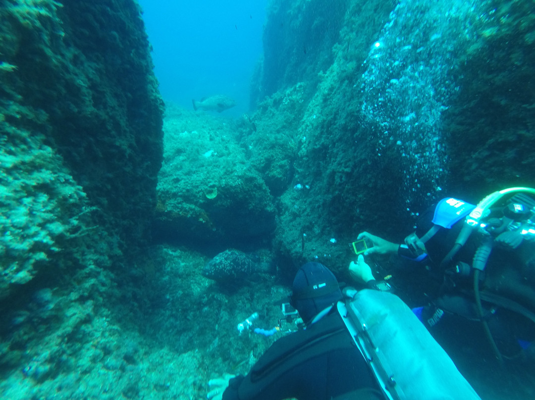 Batrakos Diving-Castelsardo必去景点