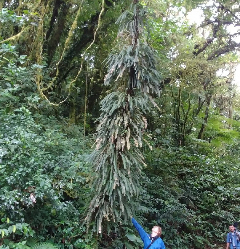 Costa Rica Wild Tours景点图片