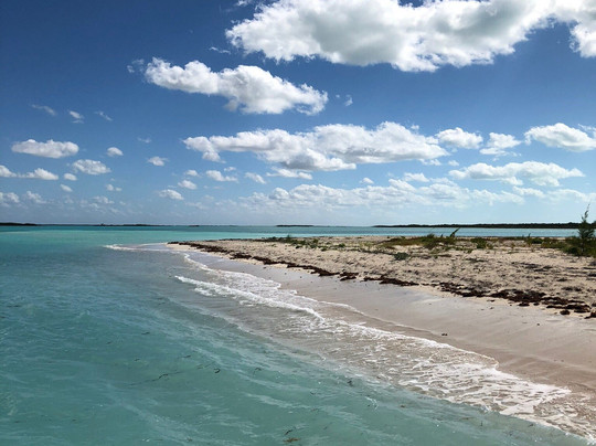 Sea Spice Ltd-普罗维登西亚莱斯必去景点