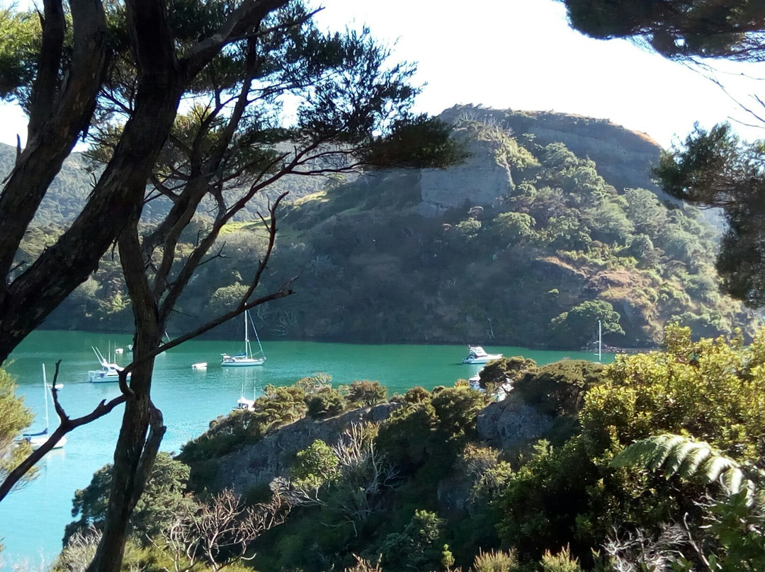 Whangaroa Harbour景点图片