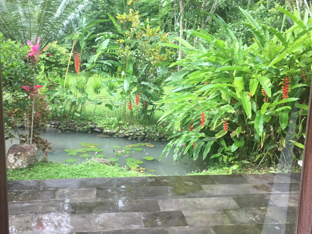 Batukaru Adventures-达巴南必去景点