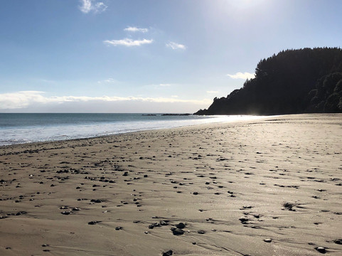 Tawhitokino Regional Park-奥克兰必去景点