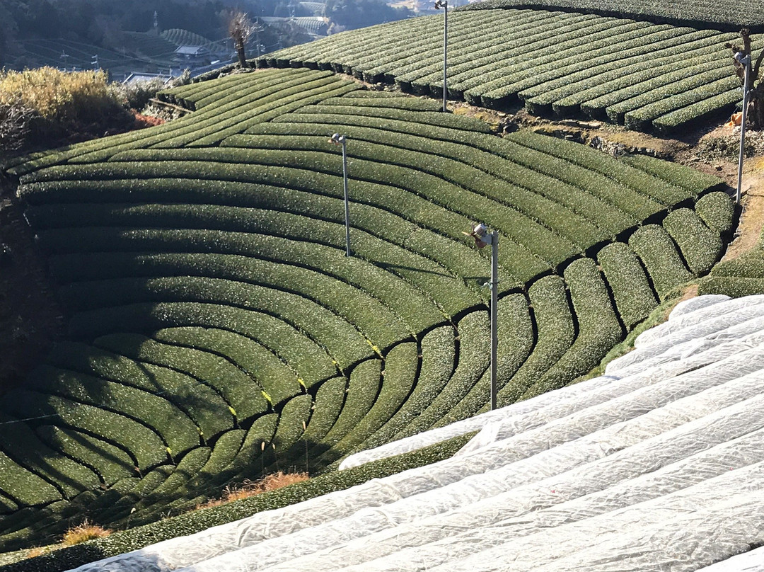 Mt. Jubu-和束町必去景点