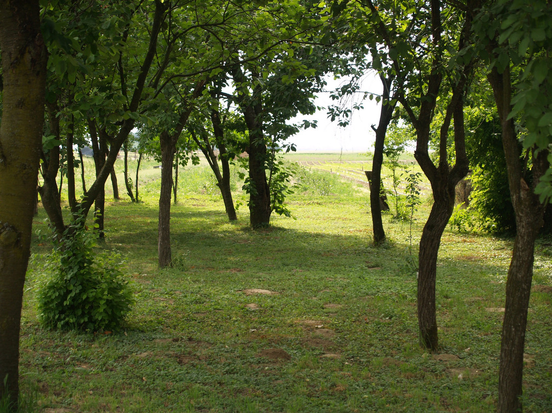 Pannonia Terranova B&B主图