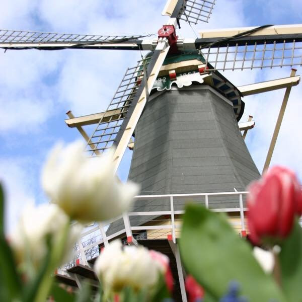 Holland  Day Tours景点图片