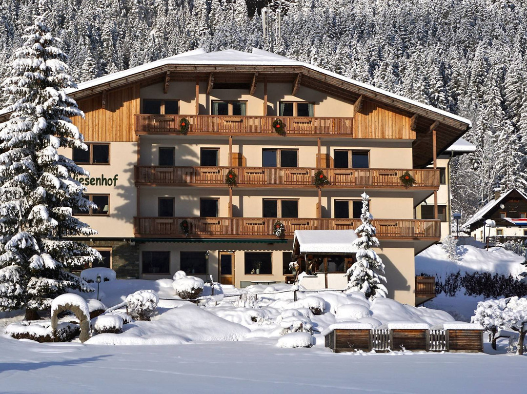 Hotel Wiesenhof - direkt am See主图