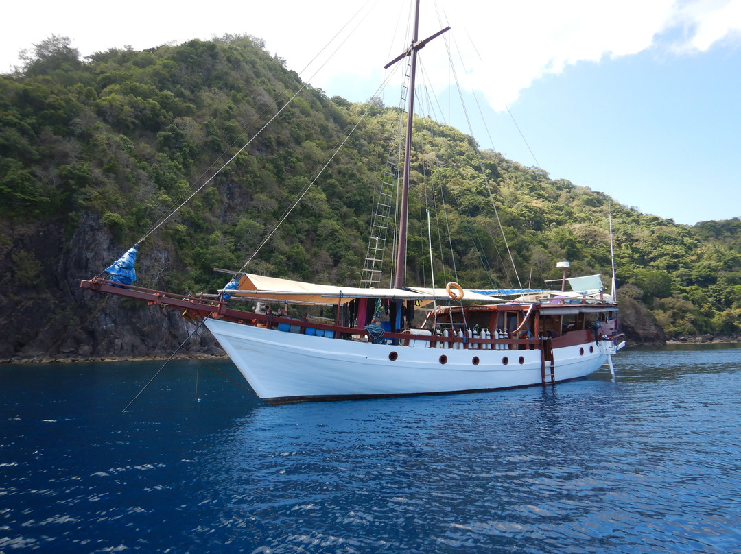Lambo Dive and Cruise-Gili Air必去景点