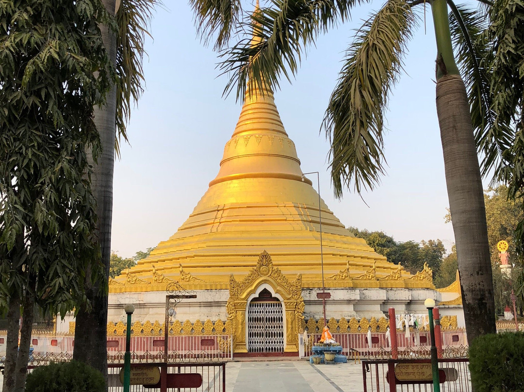 Myanmar Golden Monastery-蓝毗尼必去景点