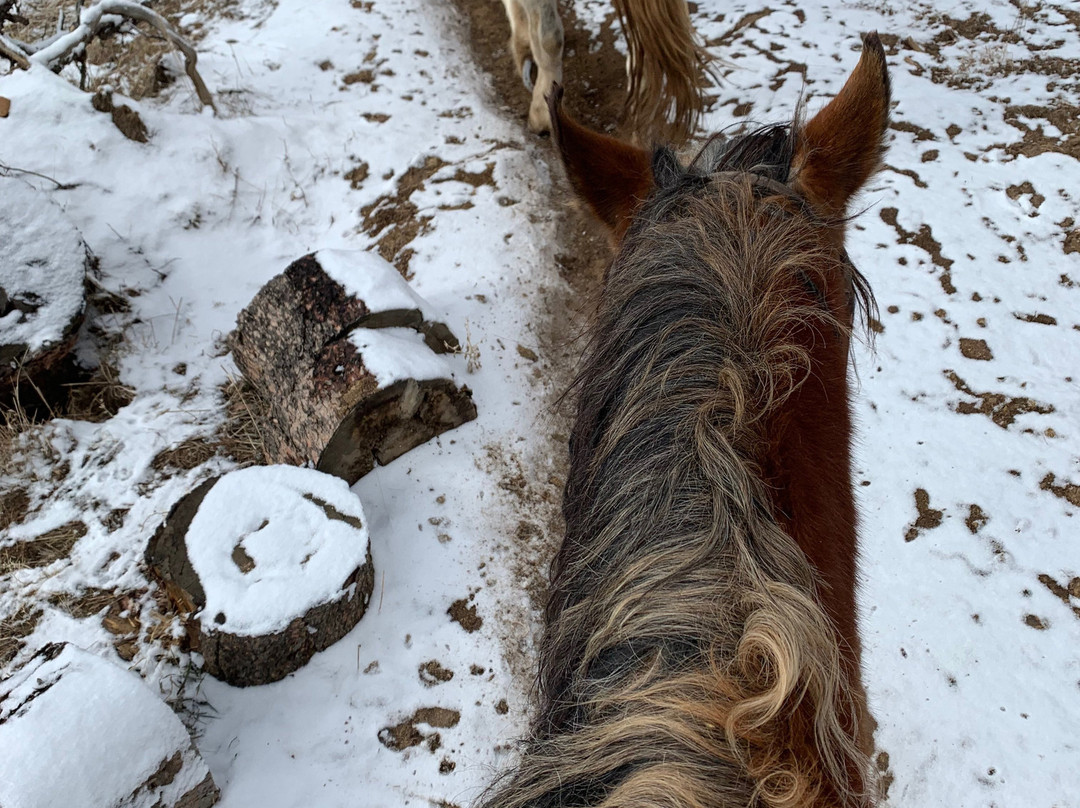 Sombrero Stables-埃斯蒂斯公园必去景点