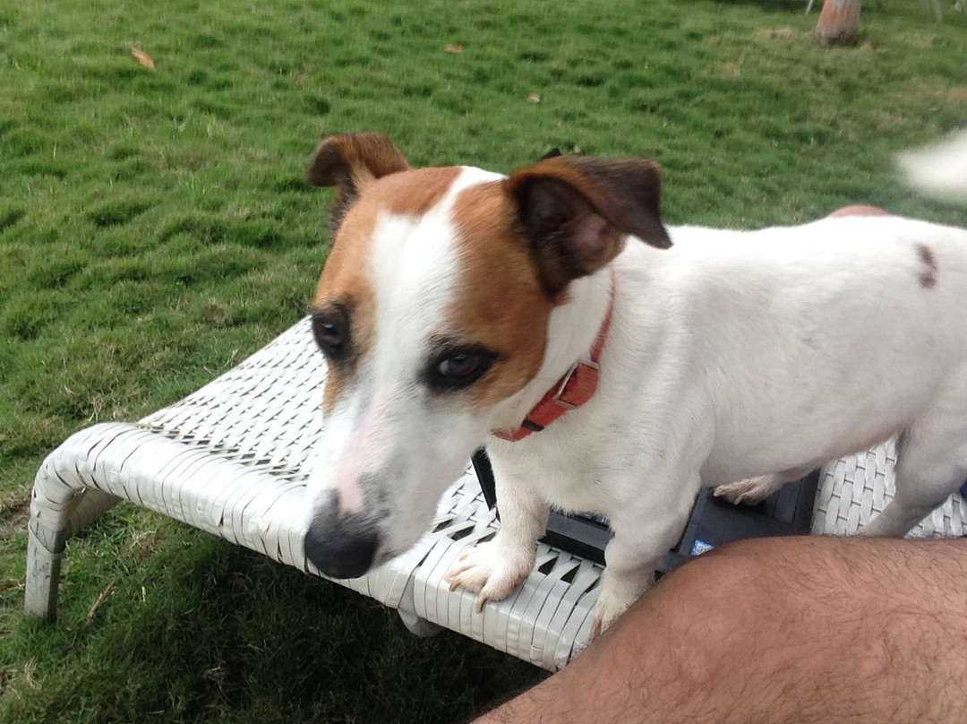 Los Ranchos De Chano主图