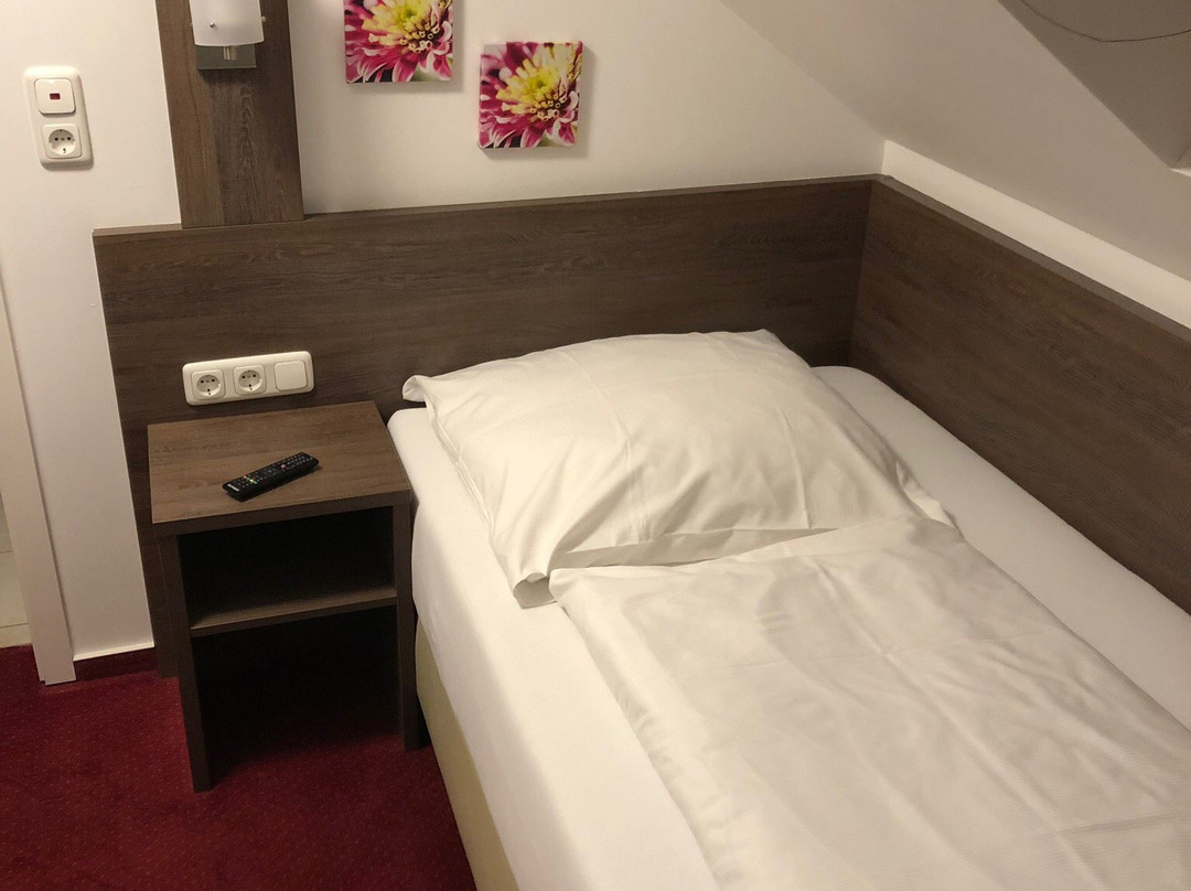 Hotel Restaurant Jaegerhof主图