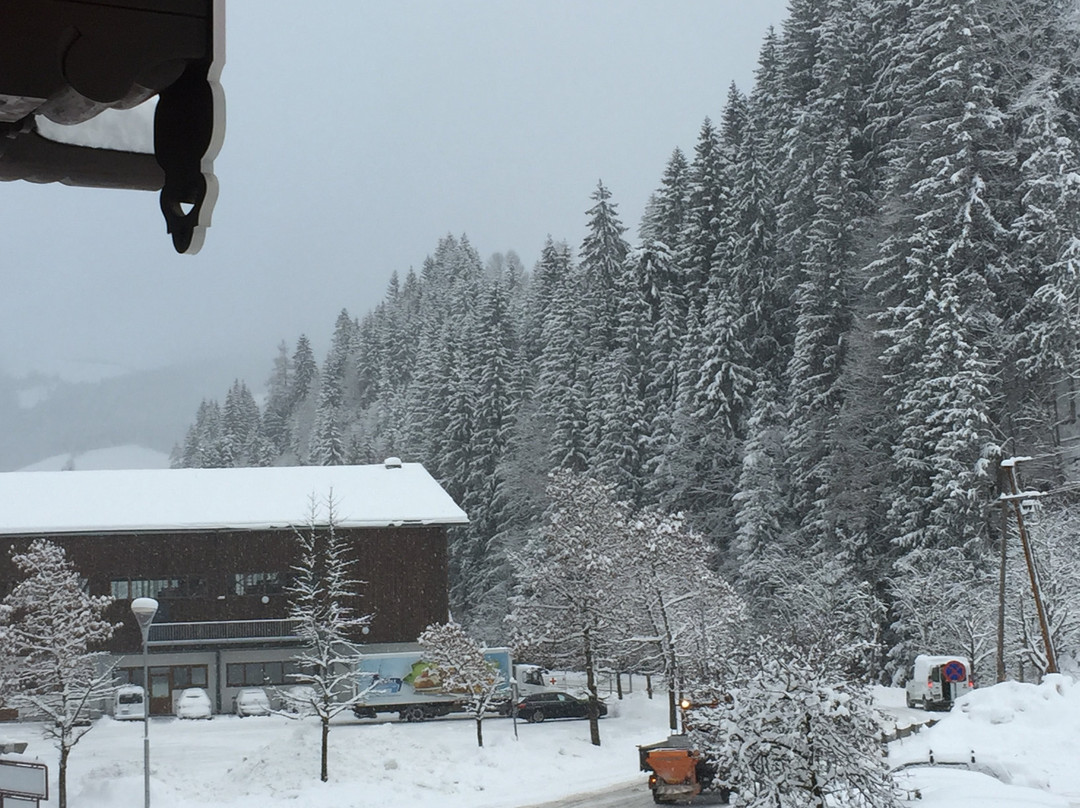 Hotel Auffacher Hof主图